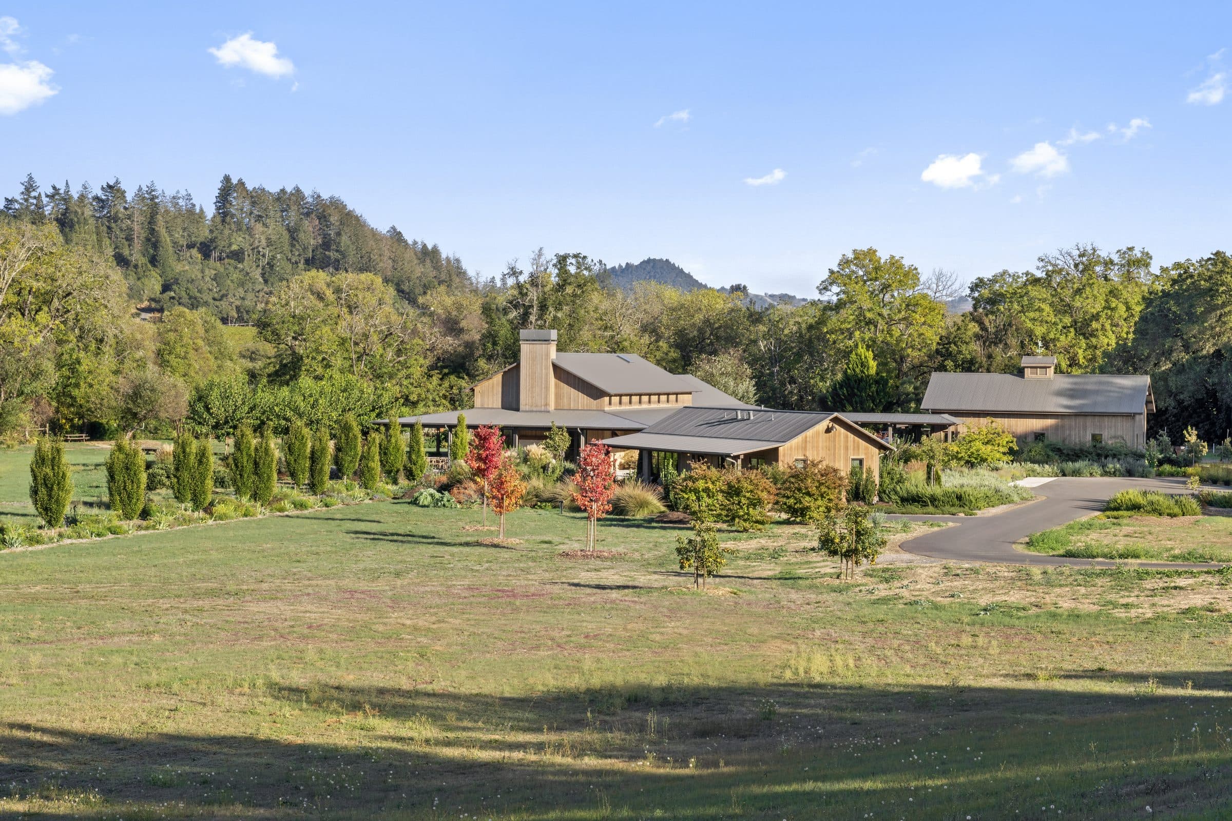 Dry Creek - Image 11