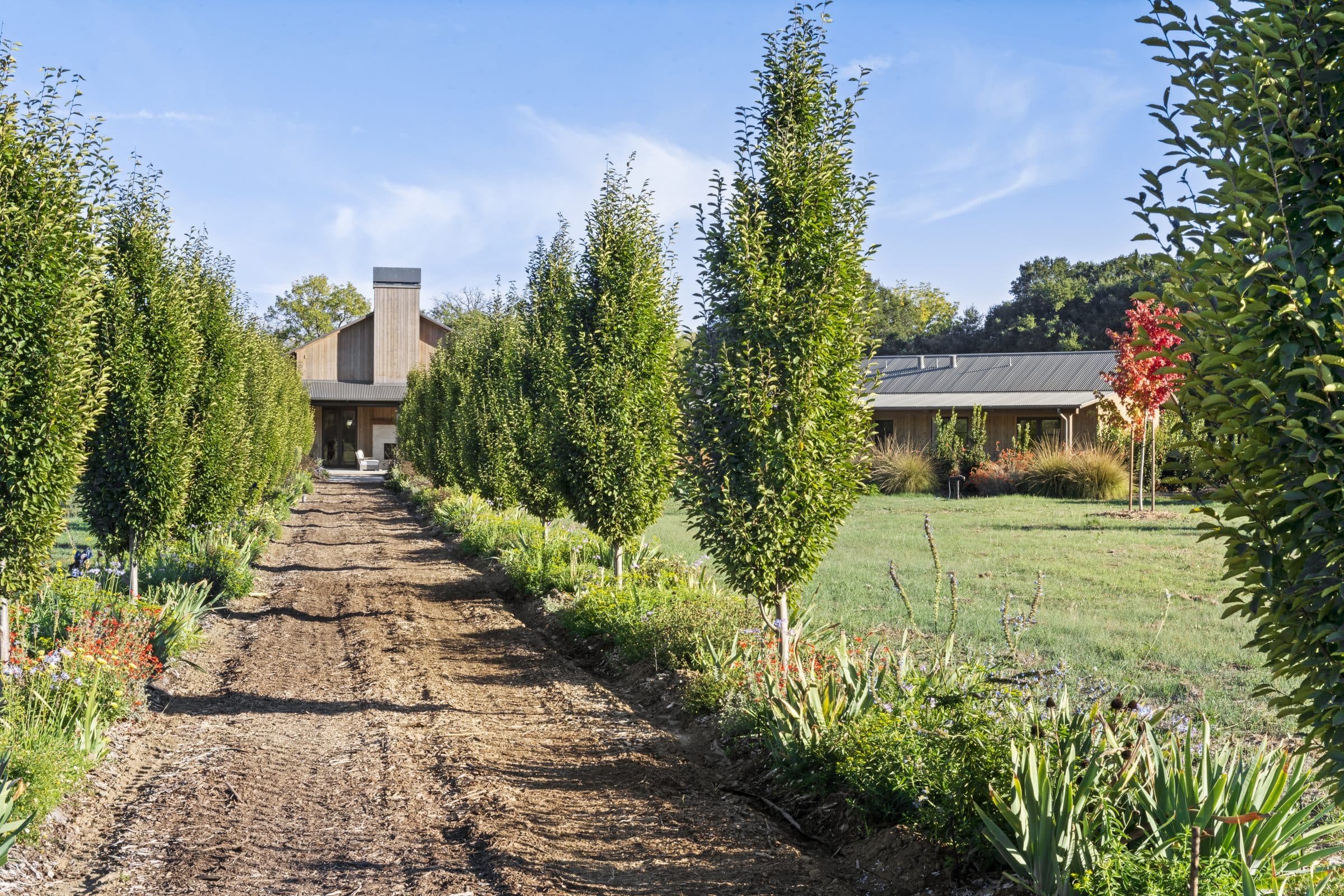 Dry Creek - Image 12
