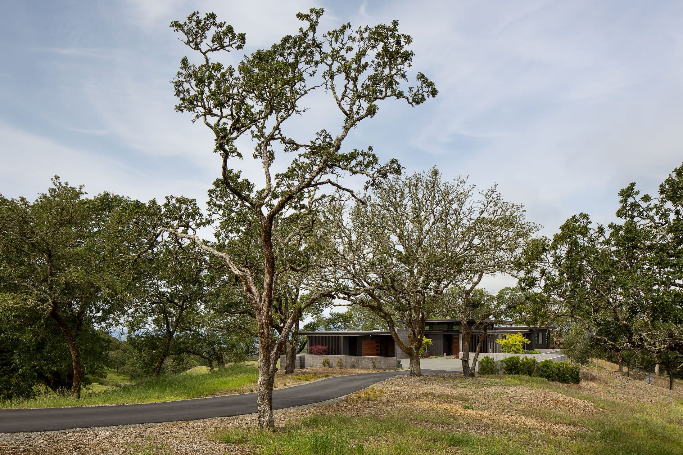 Shiloh Ridge - Image 7